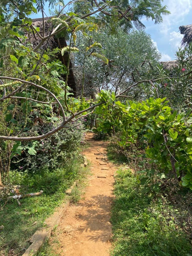 Time Travellers Hostel Auroville Exterior foto