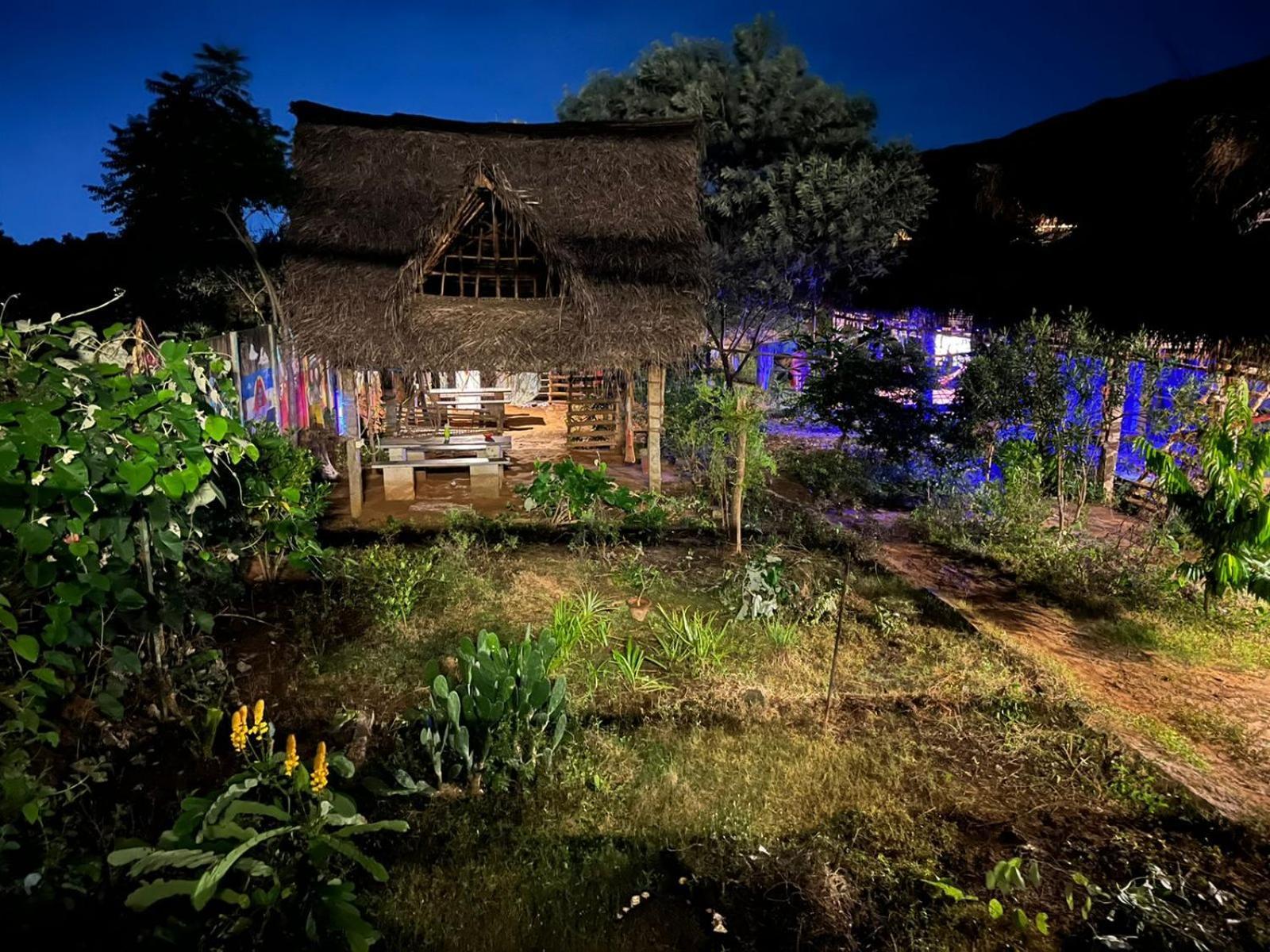 Time Travellers Hostel Auroville Exterior foto
